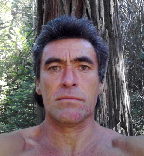 Nollmeyer, D. McCloud CA.8.3.2012