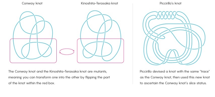 Piccirillo Knot